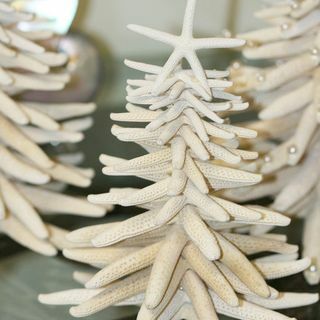 Коледна елха от бяла морска звезда
