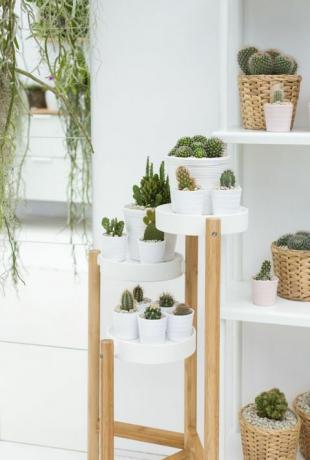 IKEA и Indoor Garden Design създадоха съвместно изложение на RHS Chelsea Flower Show 2017