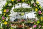 Tatton Park Flower Show 2019: Rainbow of 5000 Dahlias On Display
