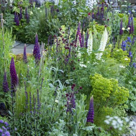схеми за засаждане на градини добре дошли в градината на Йоркшир