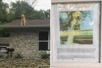 Знакът на това семейство обяснява защо кучето им обича да седи на покрива