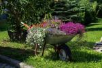 6 хитри идеи за градинарство за градината