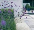 10 съвета за стилен съвременен дизайн на градината