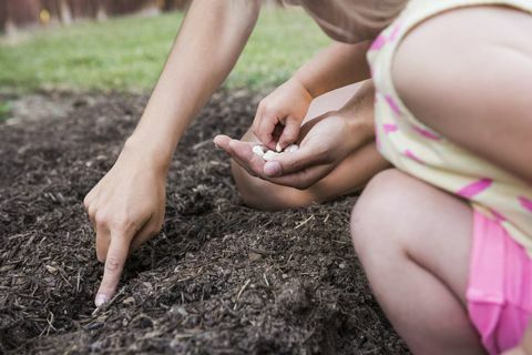 Майка и малка дъщеря засаждат семена в градината