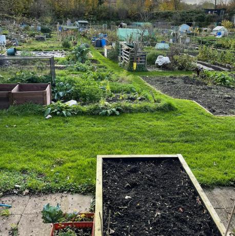 разпределена зеленчукова градина с дървени повдигнати лехи, засадени с билки, сини пластмасови водни резервоари, колички, полиетиленови тунели, верижна ограда