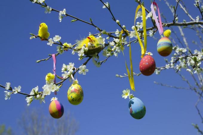 Великденски яйца и пилета играчки на клон на дърво