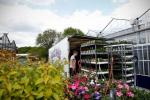 Кога градинските центрове ще се отворят отново във Великобритания? Правила за блокиране на правителството