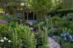 Шоу на цветя в Челси: Купете растения от градината на Крис Биърдшоу