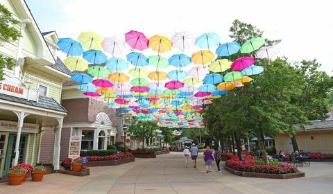 атмосфера на фестивал на цветя и храна в Доливуд в Pigeon Forge, Tn, на 62120 © curtis hilbun dollywood