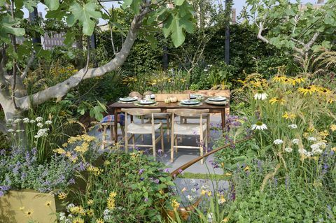 Шоу на цветя в Челси 2021 г. градината с кутия с магданоз, проектирана от Алън Уилямс